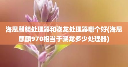海思麒麟处理器和骁龙处理器哪个好(海思麒麟970相当于骁龙多少处理器)
