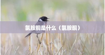 氯胺胴是什么（氯胺酮）