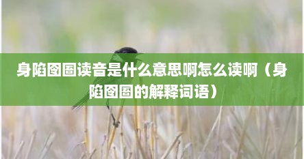 身陷囹圄读音是什么意思啊怎么读啊（身陷囹圄的解释词语）