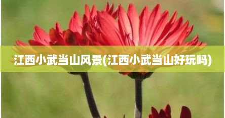 江西小武当山风景(江西小武当山好玩吗)
