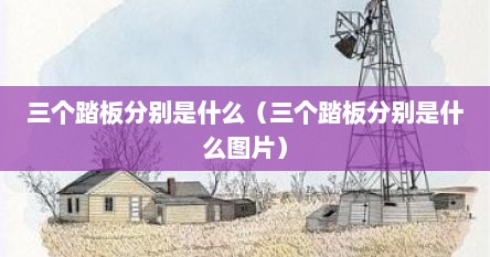 三个踏板分别是什么（三个踏板分别是什么图片）