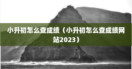小升初怎么查成绩（小升初怎么查成绩网站2023）