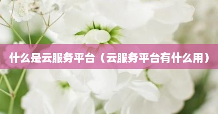 什么是云服务平台（云服务平台有什么用）