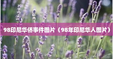 98印尼华侨事件图片（98年印尼华人图片）