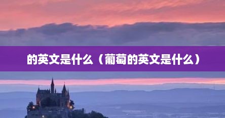 的英文是什么（葡萄的英文是什么）