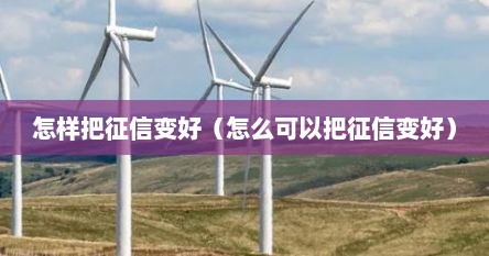 怎么样可以把征信变差一点（怎么样把征信换成钱）
