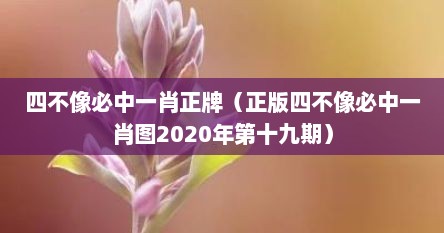 四不像必中一肖正牌（正版四不像必中一肖图2020年第十九期）