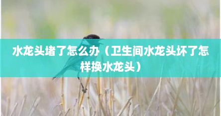 水龙头堵了怎么办（卫生间水龙头坏了怎样换水龙头）