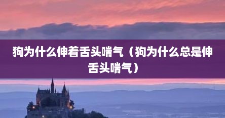狗为什么伸着舌头喘气（狗为什么总是伸舌头喘气）