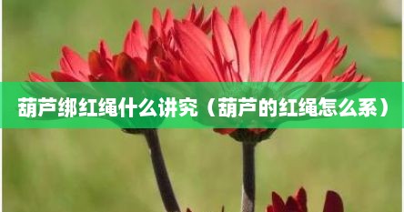 葫芦绑红绳什么讲究（葫芦的红绳怎么系）