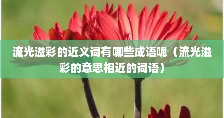 流光溢彩的近义词有哪些成语呢（流光溢彩的意思相近的词语）