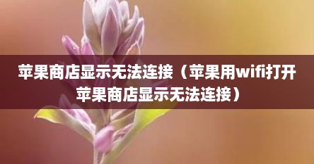 苹果商店显示无法连接（苹果用wifi打开苹果商店显示无法连接）