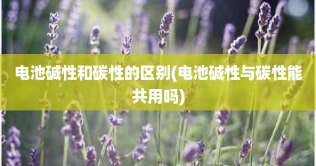 电池碱性和碳性的区别(电池碱性与碳性能共用吗)
