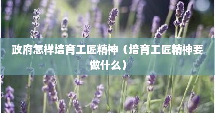 政府怎样培育工匠精神（培育工匠精神要做什么）