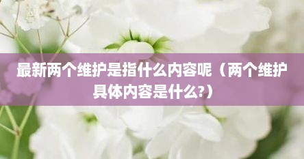 最新两个维护是指什么内容呢（两个维护具体内容是什么?）