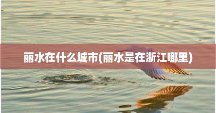 丽水在什么城市(丽水是在浙江哪里)