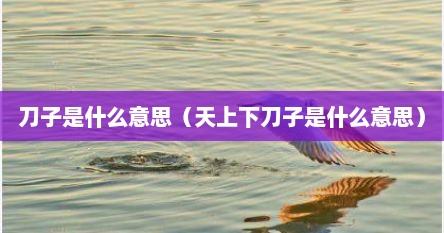 刀子是什么意思（天上下刀子是什么意思）