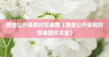 搏击公斤级别对照表图（搏击公斤级别对照表图片大全）