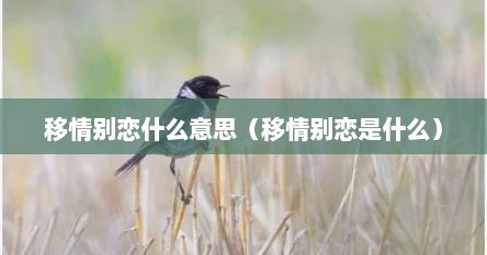 移情别恋什么意思（移情别恋是什么）