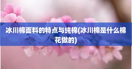冰川棉面料的特点与纯棉(冰川棉是什么棉花做的)