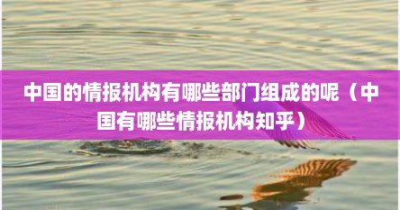 中国的情报机构有哪些部门组成的呢（中国有哪些情报机构知乎）