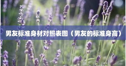 男友标准身材对照表图（男友的标准身高）