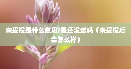 未妥投是什么意思?是还没送吗（未妥投后会怎么样）