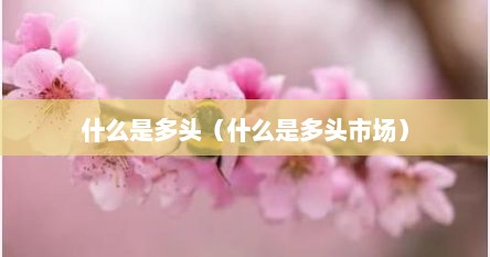 什么是多头（什么是多头市场）