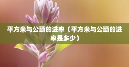 平方米与公顷的进率（平方米与公顷的进率是多少）