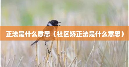正法是什么意思（社区矫正法是什么意思）