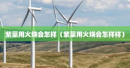 紫菜用火烧会怎样（紫菜用火烧会怎样样）