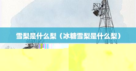 雪梨是什么梨（冰糖雪梨是什么梨）