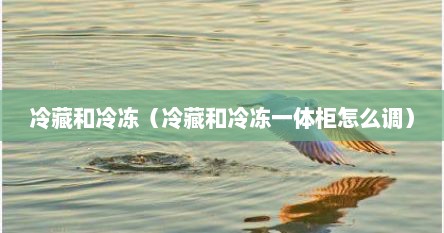 冷藏和冷冻（冷藏和冷冻一体柜怎么调）