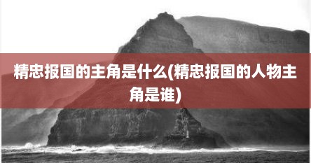 精忠报国的主角是什么(精忠报国的人物主角是谁)