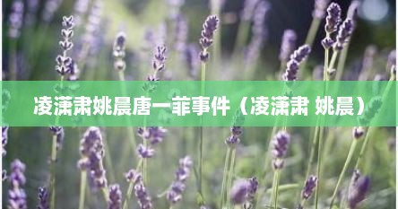 凌潇肃姚晨唐一菲事件（凌潇肃 姚晨）