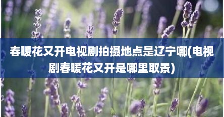 春暖花又开电视剧拍摄地点是辽宁哪(电视剧春暖花又开是哪里取景)