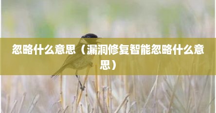 忽略什么意思（漏洞修复智能忽略什么意思）