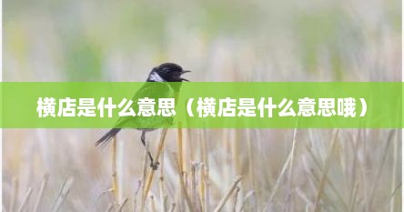 横店是什么意思（横店是什么意思哦）