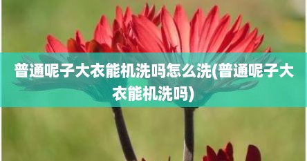 普通呢子大衣能机洗吗怎么洗(普通呢子大衣能机洗吗)