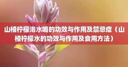 山楂柠檬泡水喝的功效与作用及禁忌症（山楂柠檬水的功效与作用及食用方法）