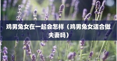 鸡男兔女在一起会怎样（鸡男兔女适合做夫妻吗）