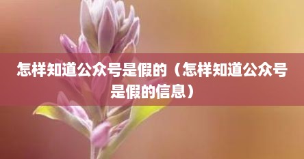 怎样知道公众号是假的（怎样知道公众号是假的信息）