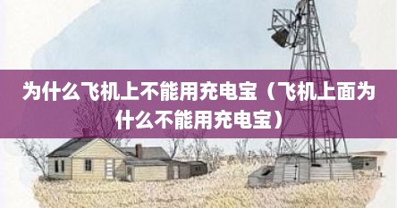 为什么飞机上不能用充电宝（飞机上面为什么不能用充电宝）