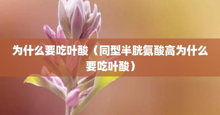 为什么要吃叶酸（同型半胱氨酸高为什么要吃叶酸）