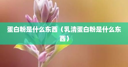 蛋白粉是什么东西（乳清蛋白粉是什么东西）