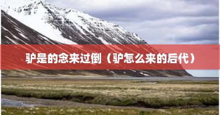 驴是的念来过倒（驴怎么来的后代）