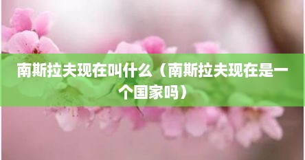 南斯拉夫现在叫什么（南斯拉夫现在是一个国家吗）