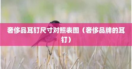 奢侈品耳钉尺寸对照表图（奢侈品牌的耳钉）