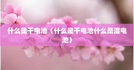 什么是干电池（什么是干电池什么是湿电池）