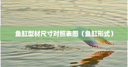 鱼缸型材尺寸对照表图（鱼缸形式）